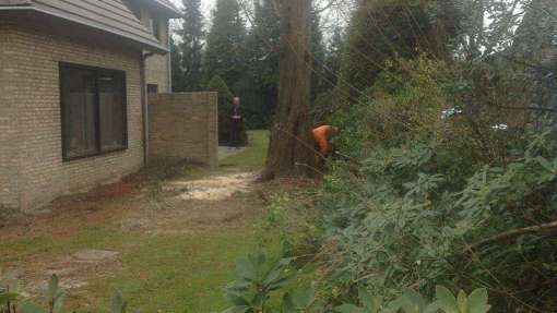 Bomen rooien Leunen